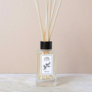 Seasonal - Reed Diffuser Oil Set