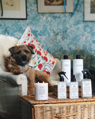 Dog Pamper Hamper - Coastal Walks